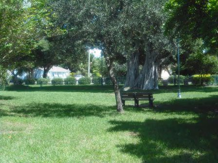 City Paws Dog Park at Howard Park photo 1